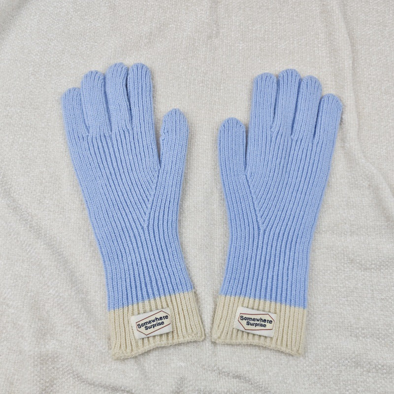 Autumn and Winter Warm Five-finger Knitted Gloves for Women-ABS2461KQ