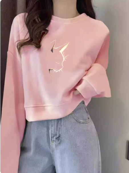 BAE-PK-Y0027